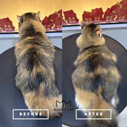 MEOW’S INN Cat Hotel & Grooming