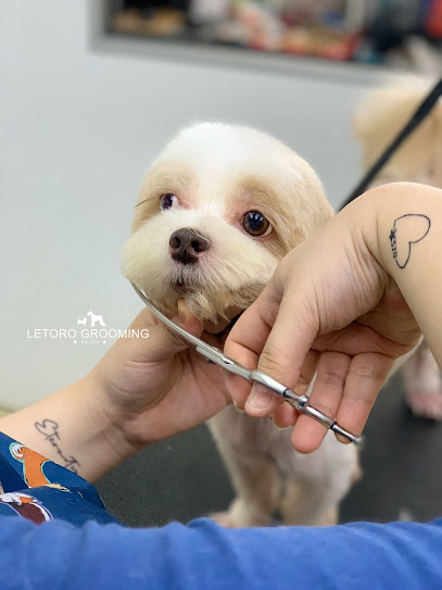 Letoro Grooming • Bandar Puteri Puchong