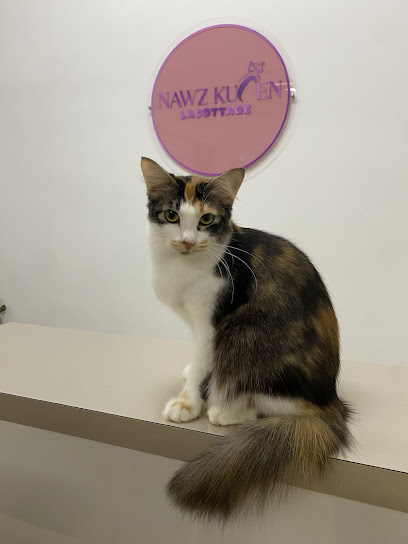 Nawz Kucen Lacottage (Cat Hotel ,Spa &Grooming)